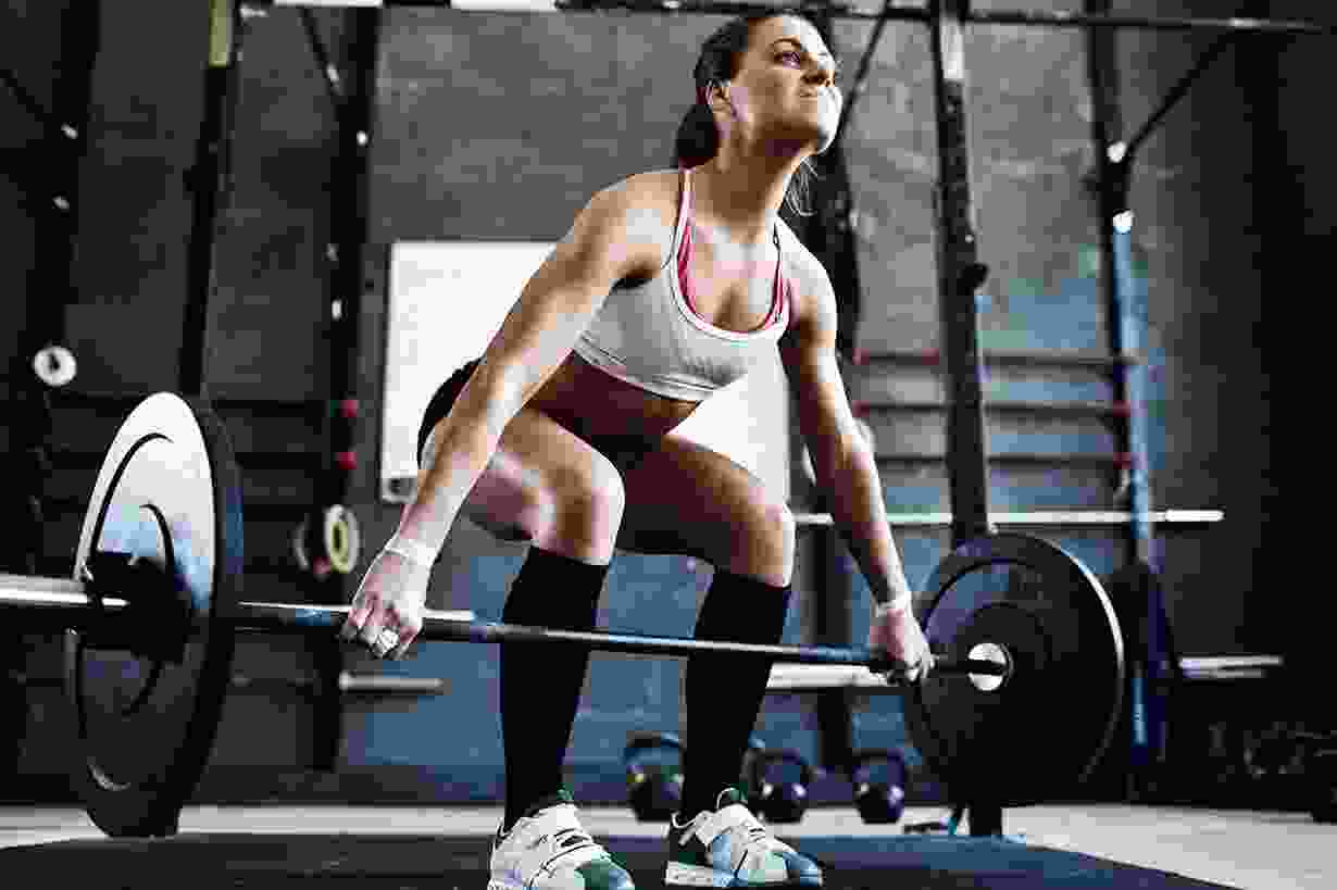 Quisque id maximus leo