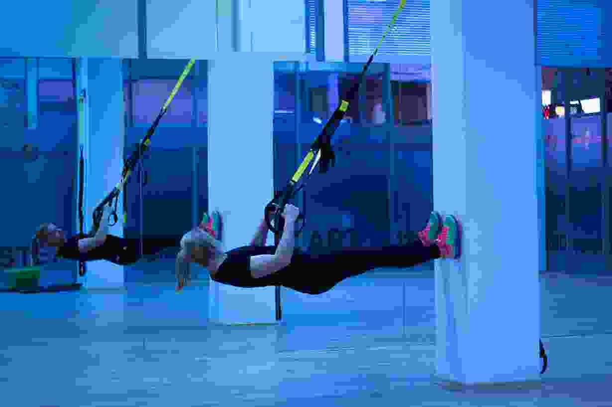 Vestibulum pellentesque metus